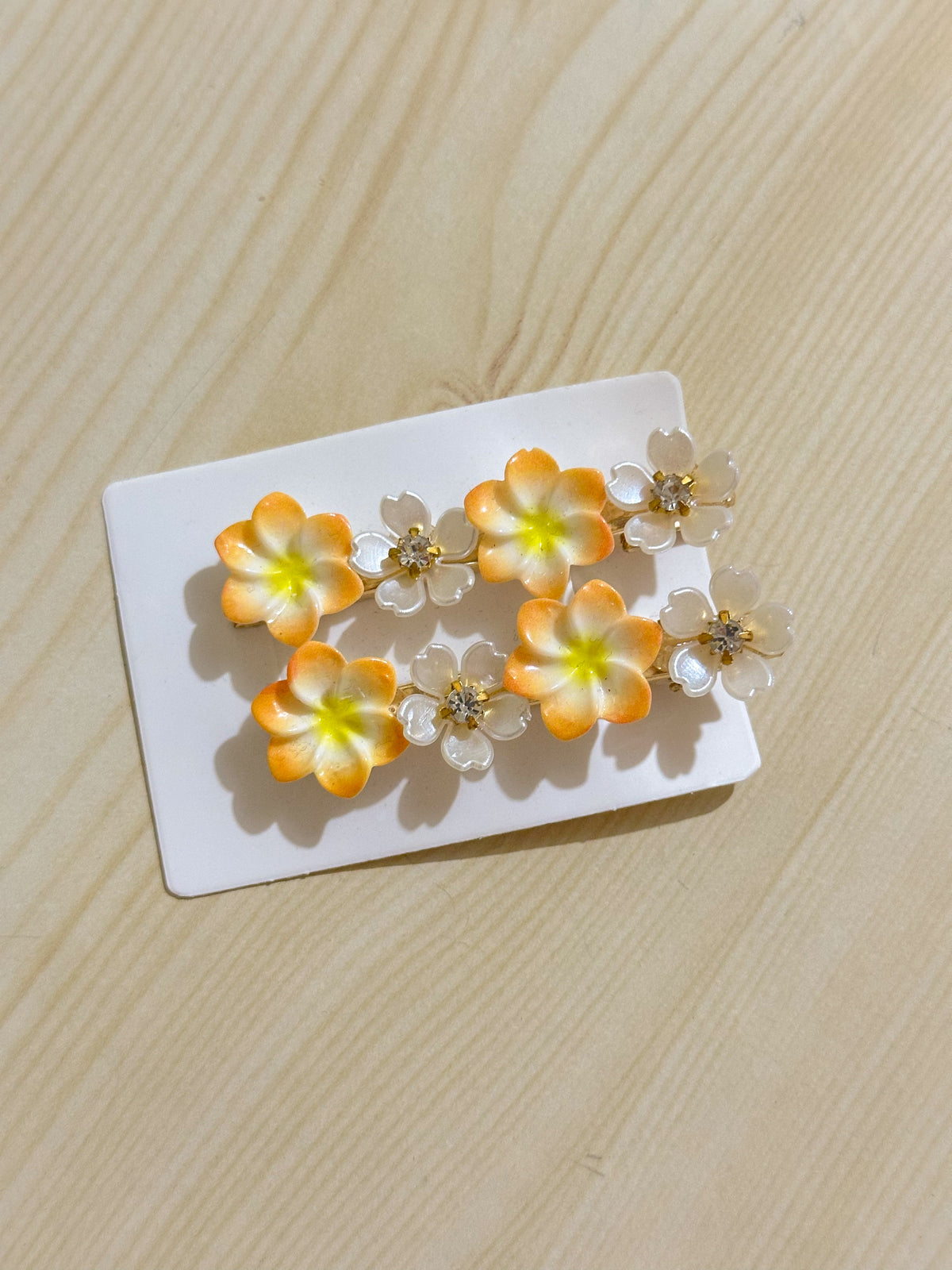 Hair Clips Pair