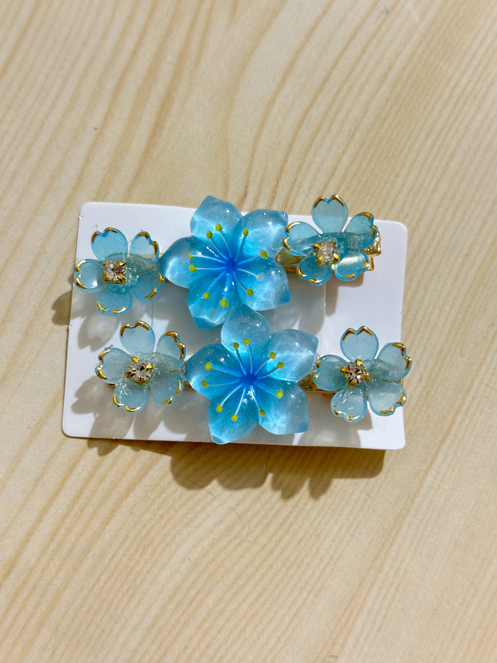 Hair Clips Pair