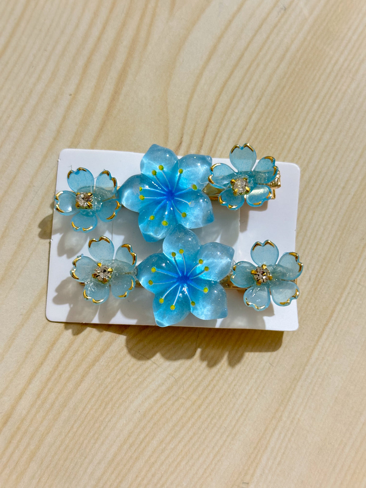Hair Clips Pair