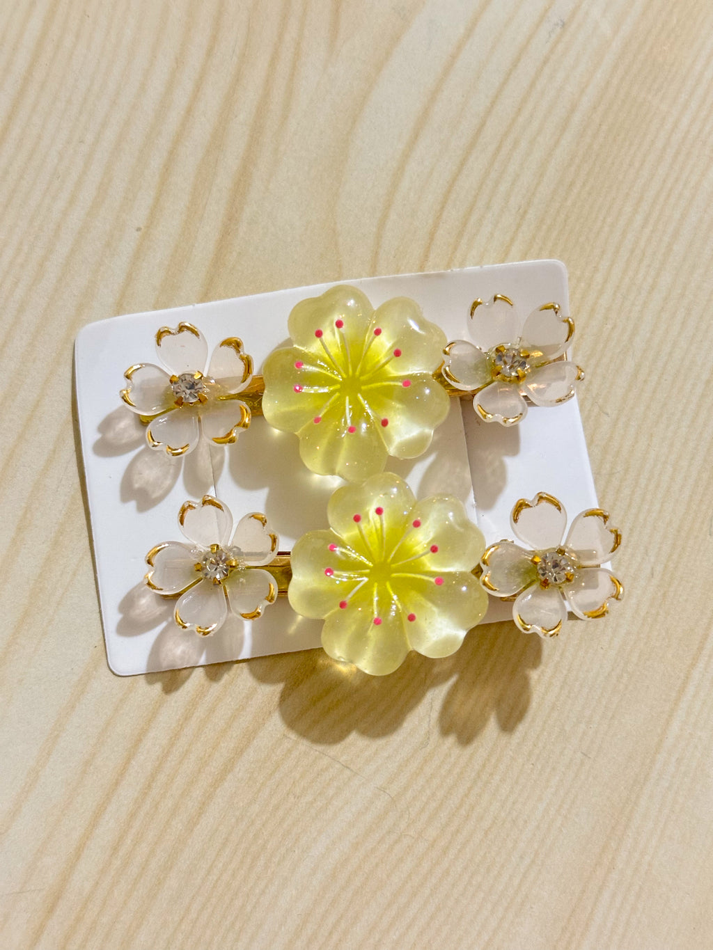 Hair Clips Pair